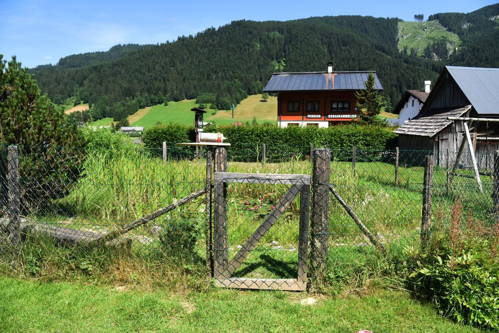 Fruehstueckspension Pachler Gosau Kültér fotó