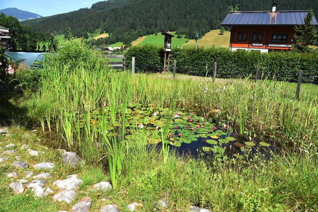 Fruehstueckspension Pachler Gosau Kültér fotó